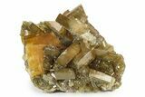 Tabular Golden Barite Cluster - Xiefang Mine, China #242581-1